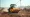 Maximizing Efficiency with Compaction Rental