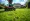 How to Rent a Grass Aerator: Step-by-Step Guide for Success