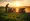 7 Benefits of Seed Planter Rental for Project Managers