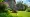 Top 5 Places for Edger Rental in Lima, Ohio