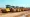 Understanding Compaction Roller Rental: Key Benefits and Options