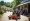 How to Rent a Brush Mower Near Me: A Step-by-Step Guide