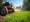 How to Rent a Power Rake: A Step-by-Step Guide for Construction Managers