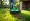 4 Steps for Successful Push Aerator Rental