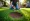 4 Steps to Rent Lawn Aerator Near Me for Your Project