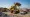 Master Skid Loader Weight: Key Steps for Your Project Success