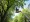 What is a Tree Trimming Lift Rental? Understanding Your Options