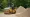 Gravel Compactor Rental: Comparing Top Options for Your Landscaping Needs