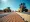 7 Essential Construction Mats for Rent Near Me in DFW