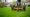 Understanding Plug Aerator Rental: Enhancing Lawn Health Effectively
