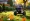 4 Best Push Leaf Blowers for Efficient Yard Cleanup