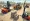 Your Step-by-Step Guide to Large Forklift Rental Success