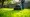 What is Yard Aerator Rental? Understanding the Basics and Benefits