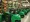 Top 7 Places to Rent a Lawn Aerator for Your Lawn Care Needs