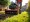 7 Reasons to Choose a Sod Cutter for Rent Near Me