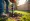 4 Best Practices for Using an Auger for Fence Posts