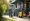 How Much to Rent Power Washer: Key Factors and Steps