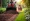 Why Mulch Blower Rental Boosts Efficiency for Construction Projects