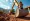What is a Grading Bucket for Excavator? Key Benefits and Uses