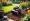 5 Steps to Hire Tiller for Your Landscaping Projects