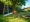 How to Rent a Telescopic Pole Pruner in Fort Worth, TX: A Step-by-Step Guide