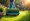 7 Benefits of Turf Dolly Rental for Efficient Landscaping