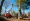 4 Best Practices for Using Tree Removal Equipment Effectively
