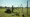Fence Post Pounder for Rent: Essential Tool for Secure Fencing