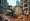 Master Compact Excavator Rental: Key Steps for Project Managers