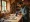 How to Rent Woodworking Tools: A Step-by-Step Guide to Woodworking Tool Rental for Beginners