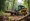 How to Choose and Maintain Your Skid Steer Tree Trimmer