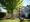 How to Rent a Tree Trimmer: A Step-by-Step Guide for DFW Residents