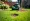 Master Rental Aerators for Lawns: Steps for Success