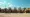 Exploring Bobcat of Abilene Texas: Services and Equipment