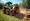 Compare Stump Grinders for Skid Steer Rental: Key Features & Costs