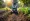 7 Benefits of Garden Cultivator Rental for Project Managers