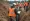 Master Trench Safety Equipment: Essential Practices for Project Managers