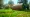 What is Yard Roller Rental? Understanding Its Benefits and Uses