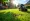 10 Reasons to Choose Core Aerator Lawn Aerator Rental Today