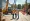 Understanding Equipment Rental Agreements for Construction Projects