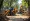 4 Key Practices for Effective Loader Backhoe Rental