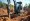 10 Benefits of Mini Excavator Auger Attachments for Project Managers