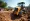Calculate How Much to Rent a Ditch Witch Trencher Effectively