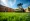 10 Reasons to Choose Sod Roller Machine Rental for Your Projects