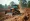 Master Small Bulldozer Rental: Steps for Project Managers