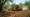 How to Rent a Brush Mulcher: A Step-by-Step Guide for Efficient Land Clearing