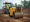 10 Essential Tips for Vibro Plate Rental Success