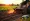 4 Best Practices for Skid Steer Tiller Rental Success