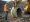 How to Rent a Rock Grapple Bucket in Fort Worth, TX: A Step-by-Step Guide