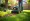 7 Benefits of Using a Yard Aerator for Rent